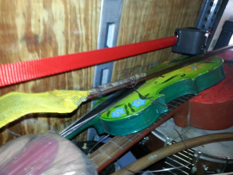 HitchHikerGator tweet media