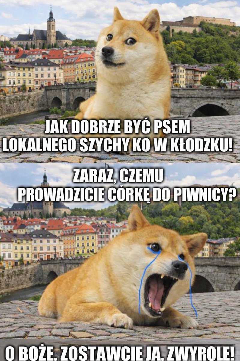 Krzysztof Ziomek tweet media