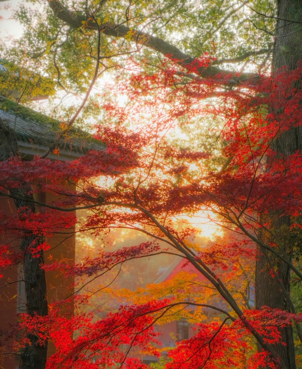 صٍۆفَيَ tweet media