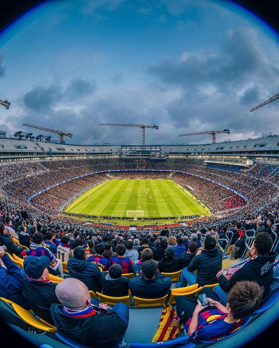 🎥📸 𓃵 tweet media