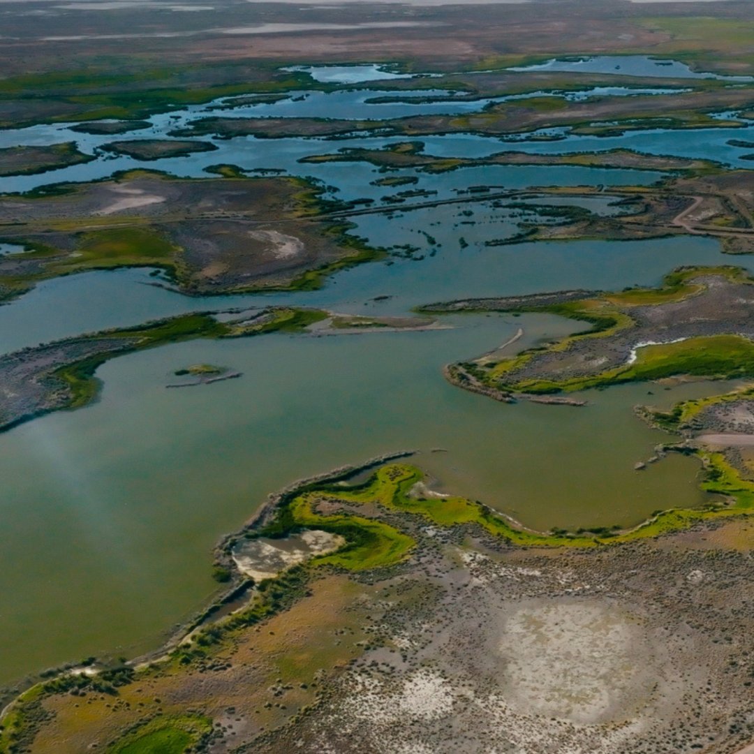 Visit Fallon tweet media