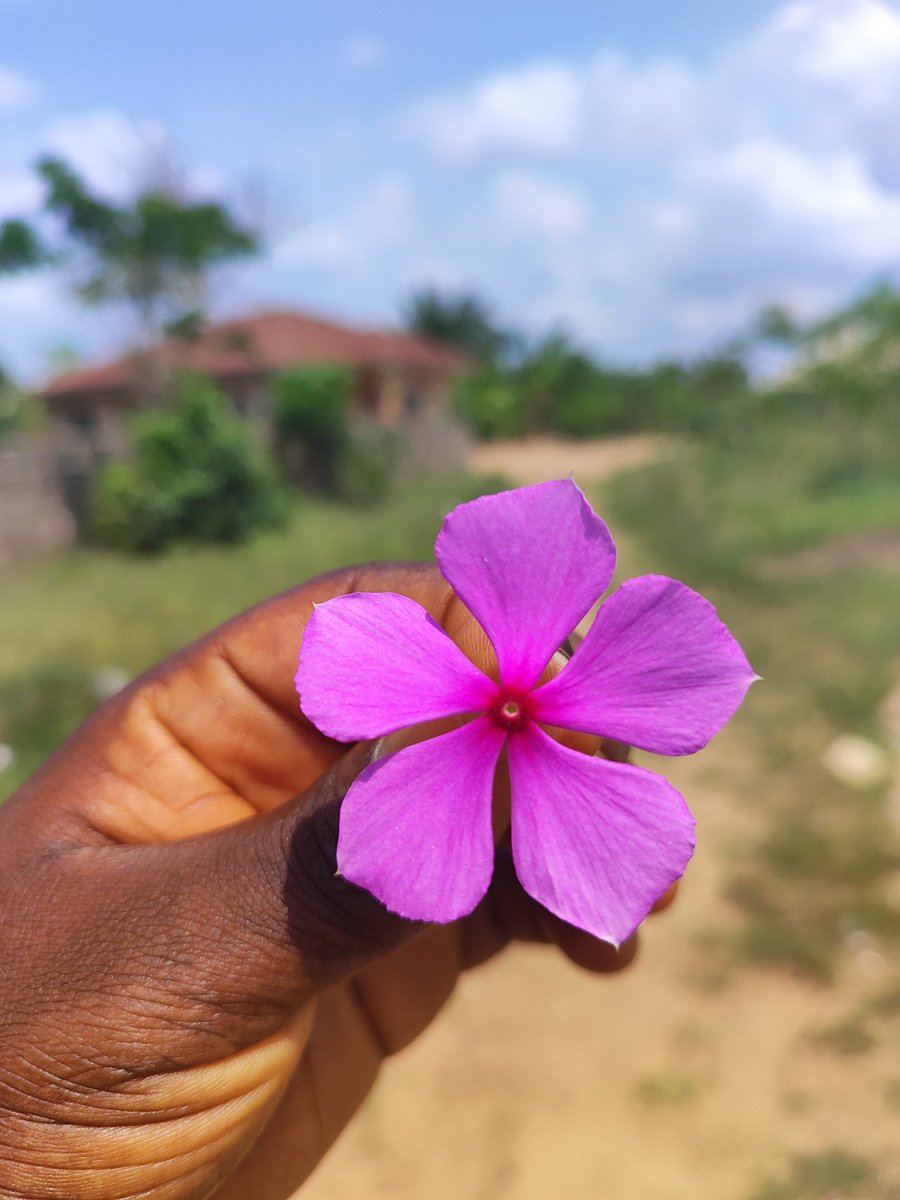 pfdcakes _Event's tweet media