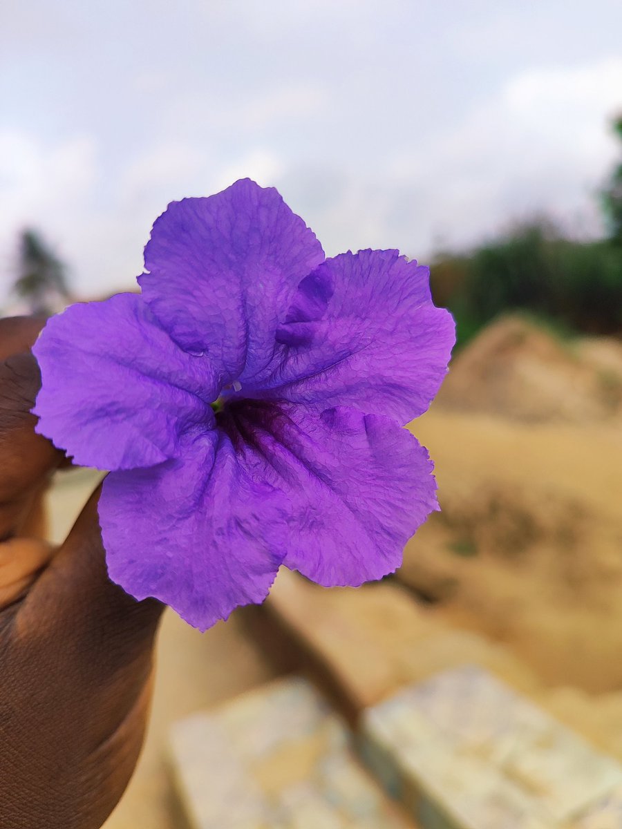 pfdcakes _Event's tweet media