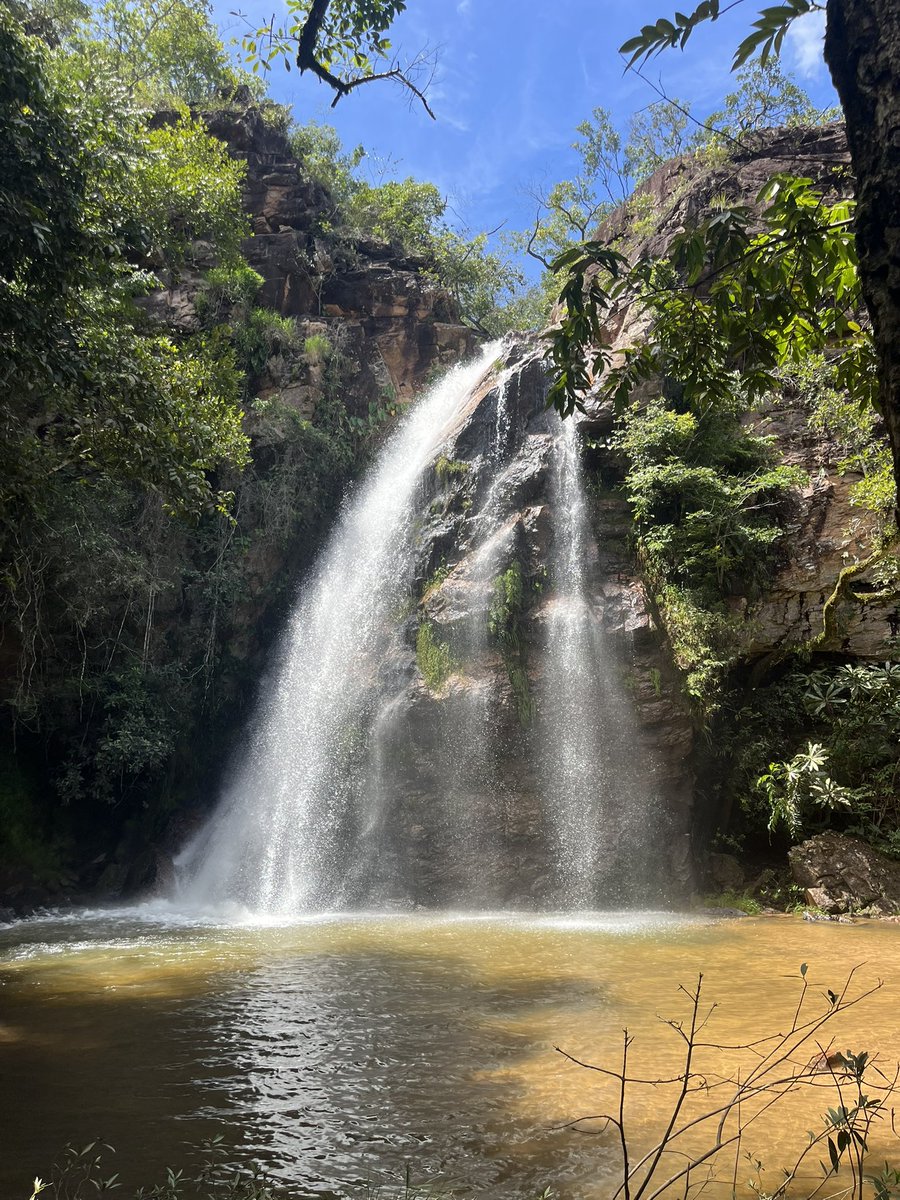 junin no grau tweet media