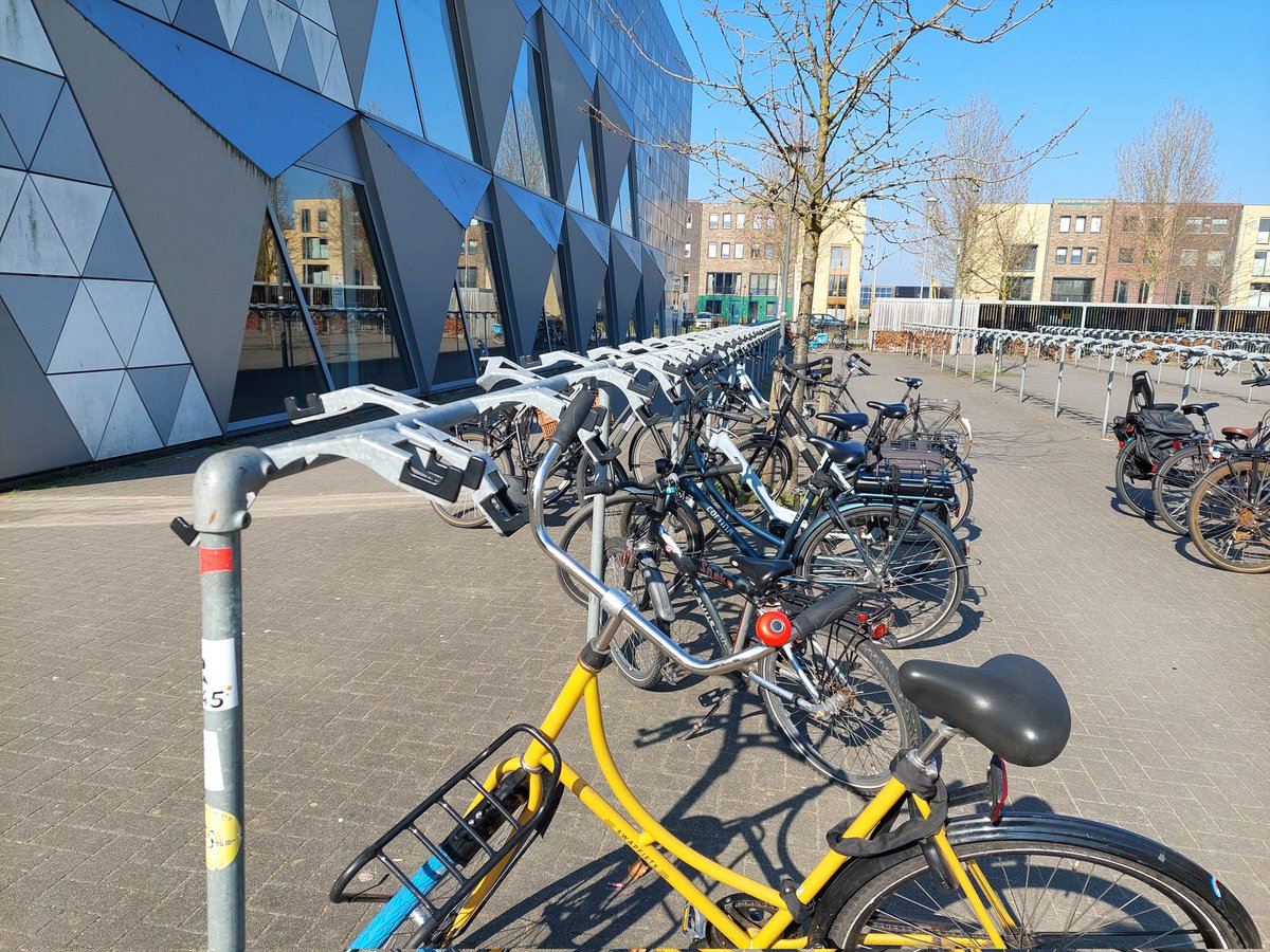 Stef Hoitink tweet media