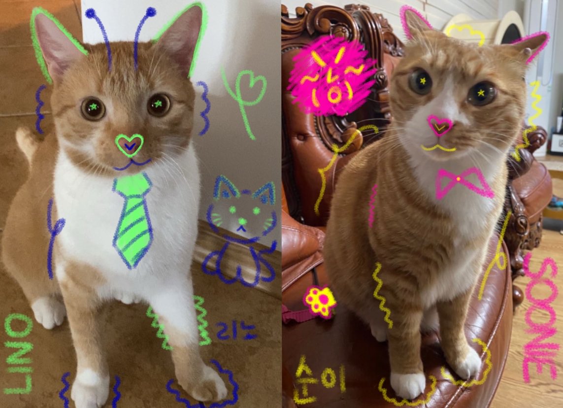 oleaki (⁠｡⁠•̀⁠ᴗ⁠-⁠)⁠⋆｡°✩ tweet media