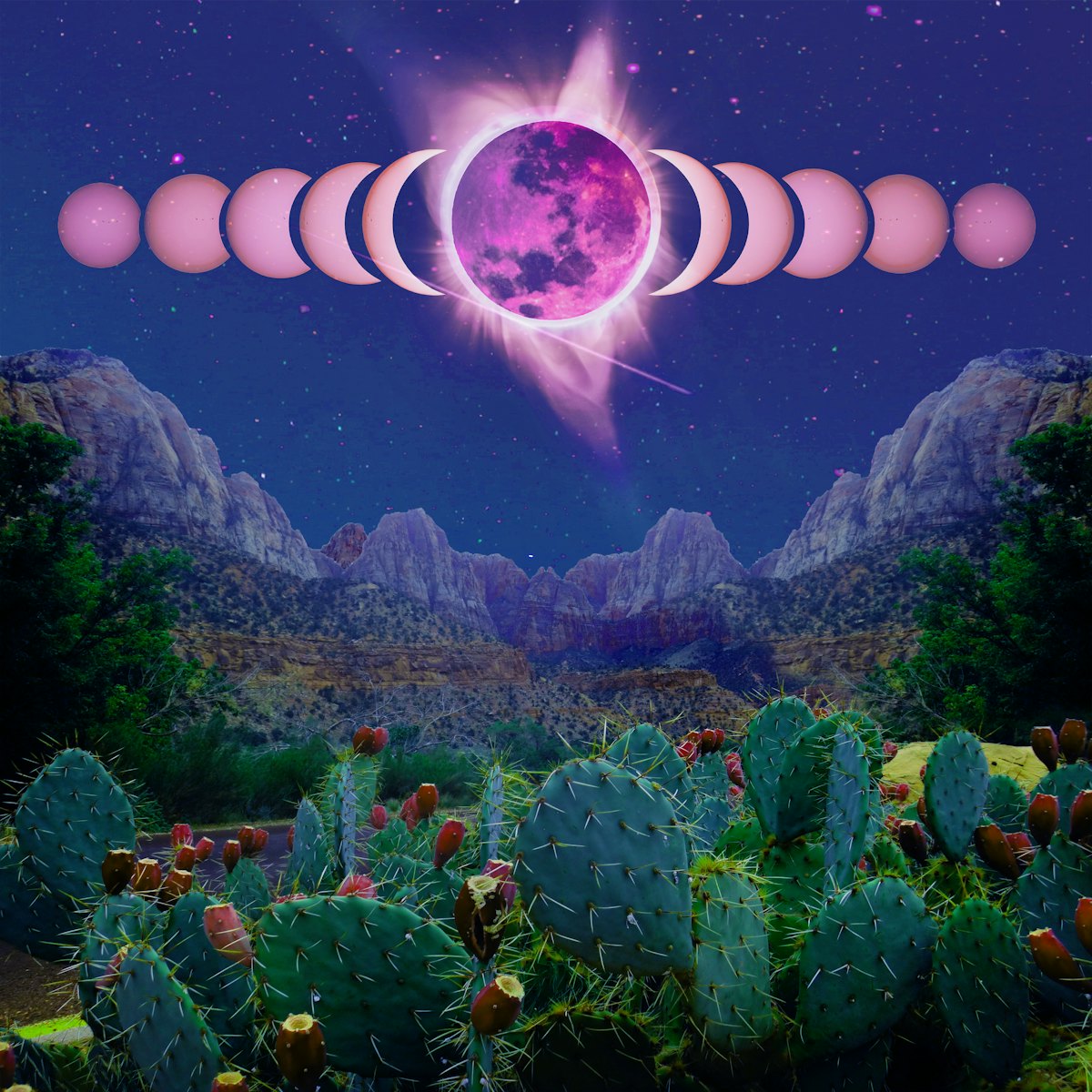 hasdirto tweet media