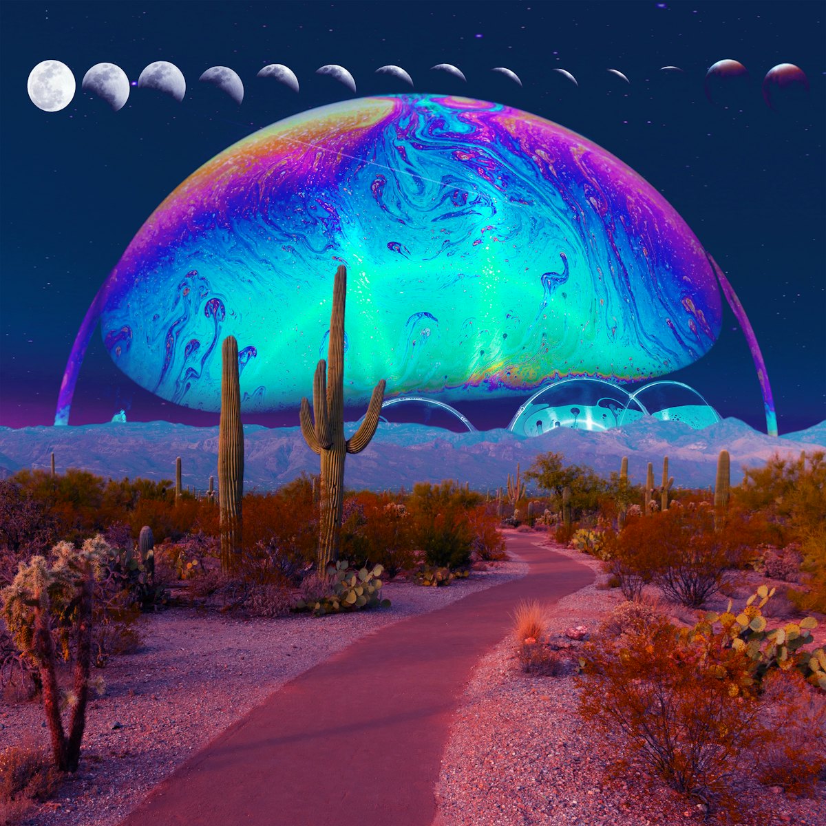 hasdirto tweet media