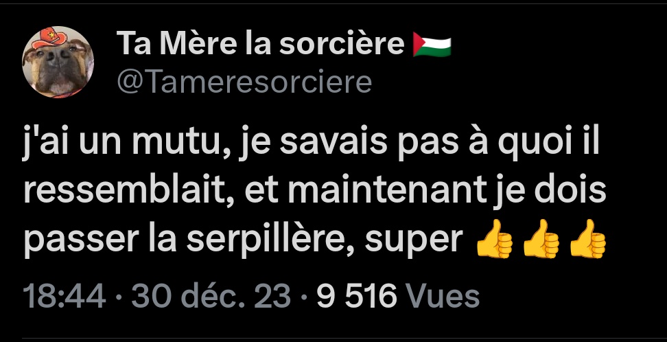Ta Mère la sorcière 🇵🇸 tweet media