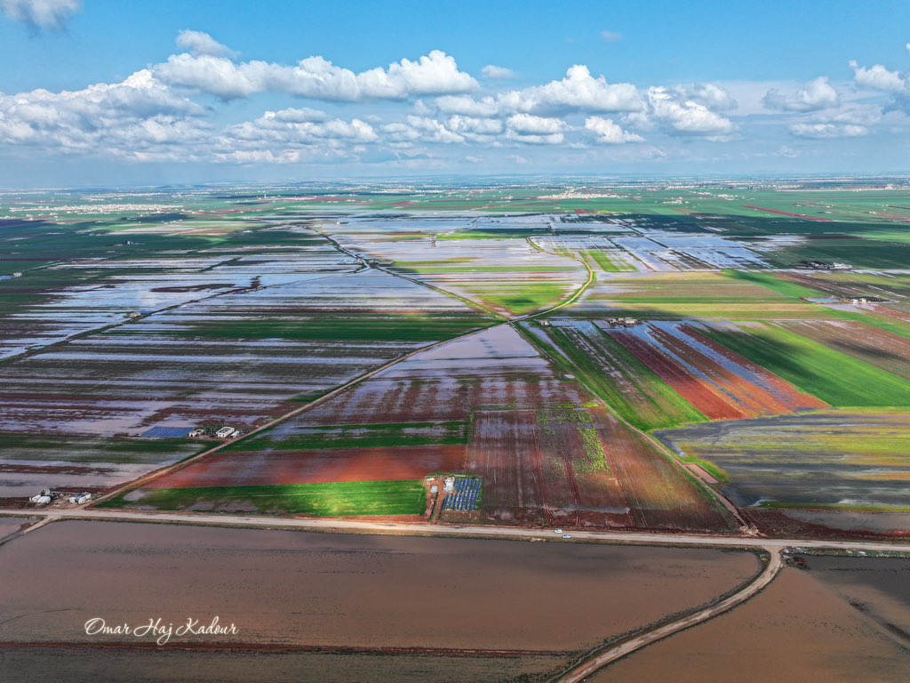 Omar Haj Kadour tweet media