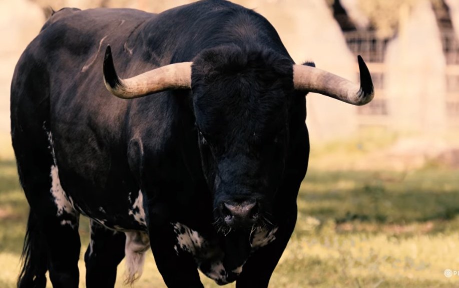 corniveleto15 tweet media