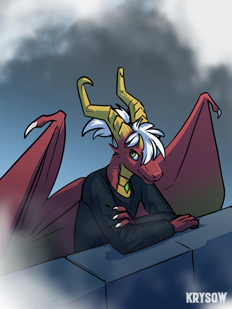 Stein Tempus tweet media