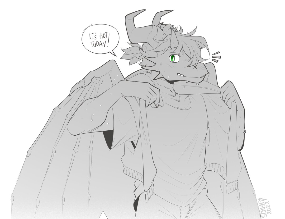 Stein Tempus tweet media