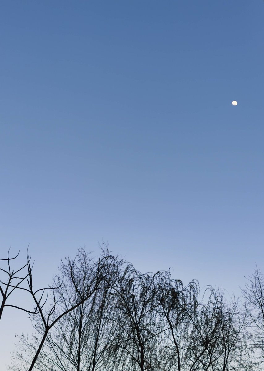 tina grant tweet media