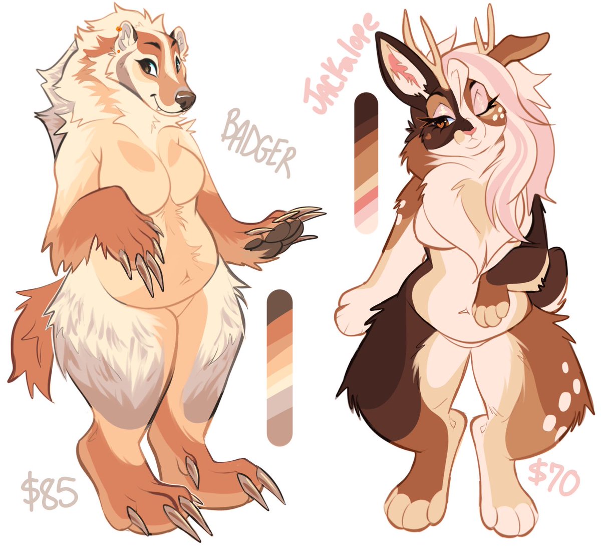 ¡shiba! tweet media