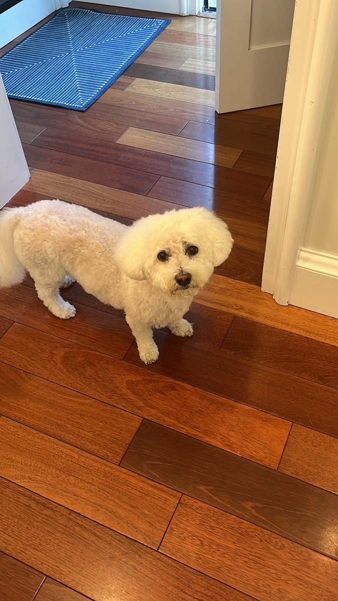 Maisy says woof.