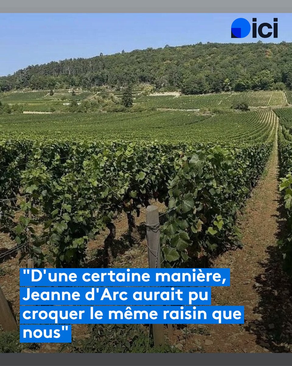 ICI Bourgogne tweet media