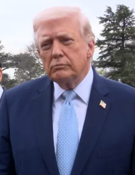 Coin Bureau tweet media