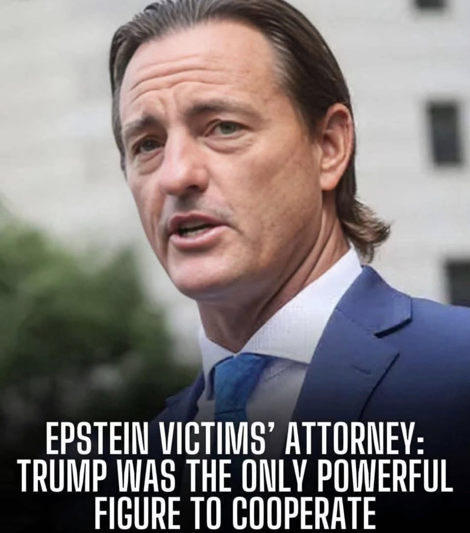 ColonelQ tweet media