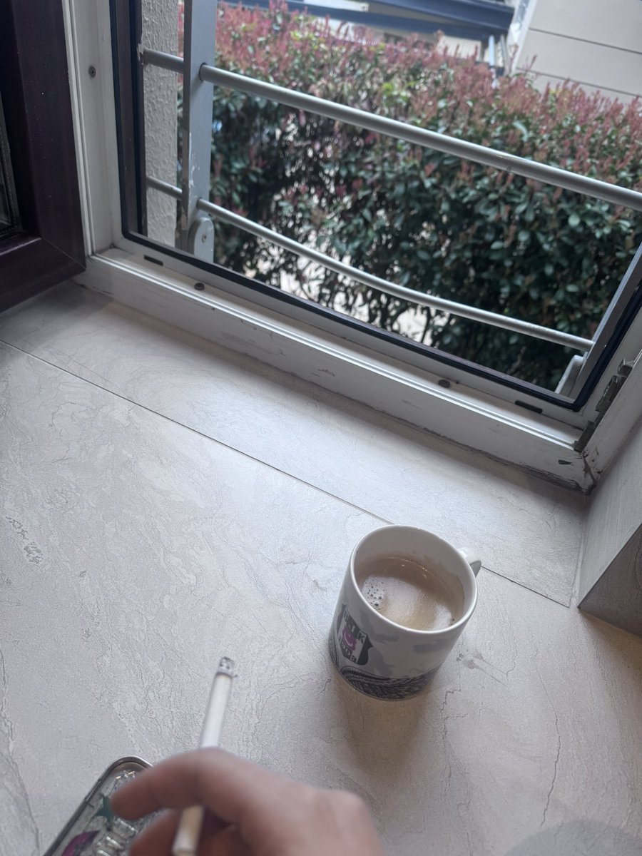 sofia🦇 tweet media