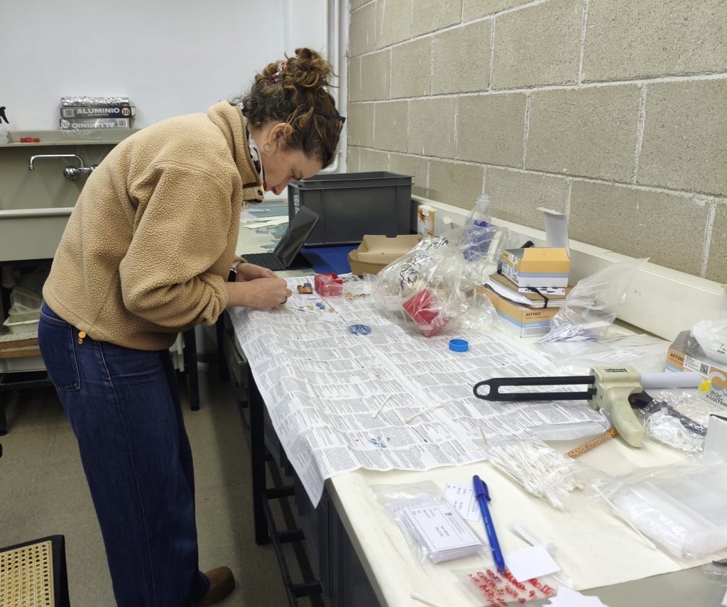 Laura M Martínez tweet media