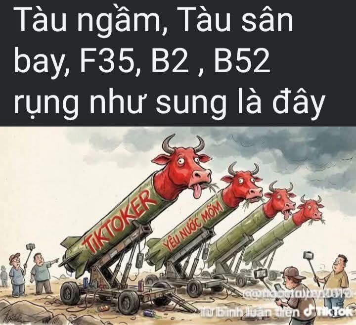 Việt Phi Trung tweet media