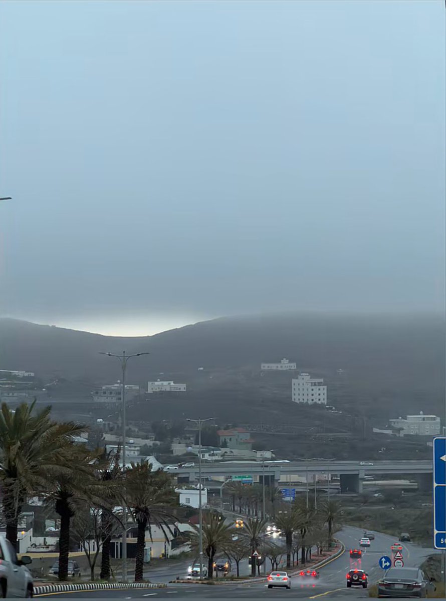 مريم. tweet media