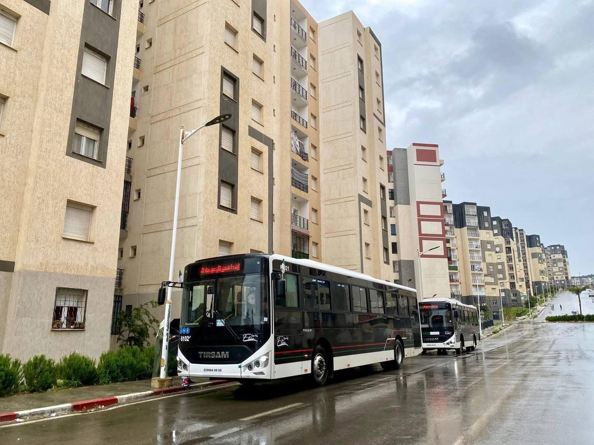 Algeria Project tweet media