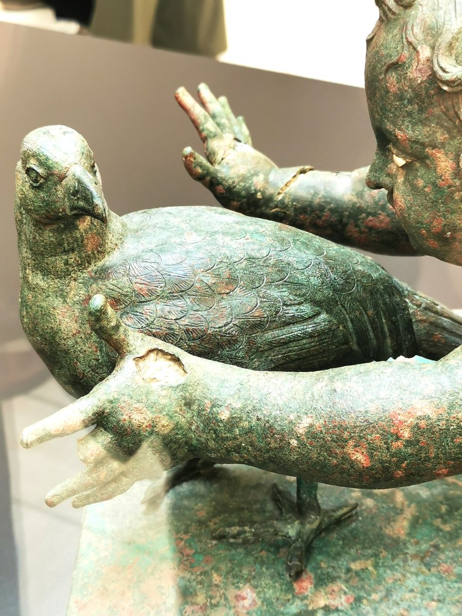 Sol G. Moreno tweet media