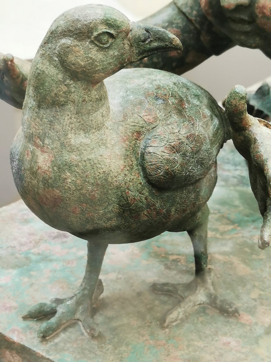 Sol G. Moreno tweet media