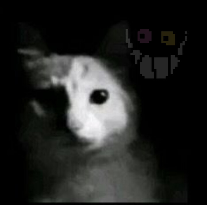pluplumeow's tweet image. "♪♩♬♫♩ ♪♫♫♬♩♪♬♩ ♫♪♬♩♪"

♪♩♫♪♩♬♩ ♩♪♩♪♩♫ ♫♪♬♫ ♩♪♩♬ ♩♪♩♩♫♫♪♩ ♬♩♪♩♪♬♬...
#twosentencehorrorcommunity #scary