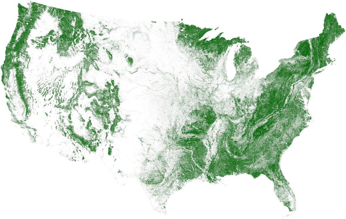 Interesting map of Tree Coverage across the US.