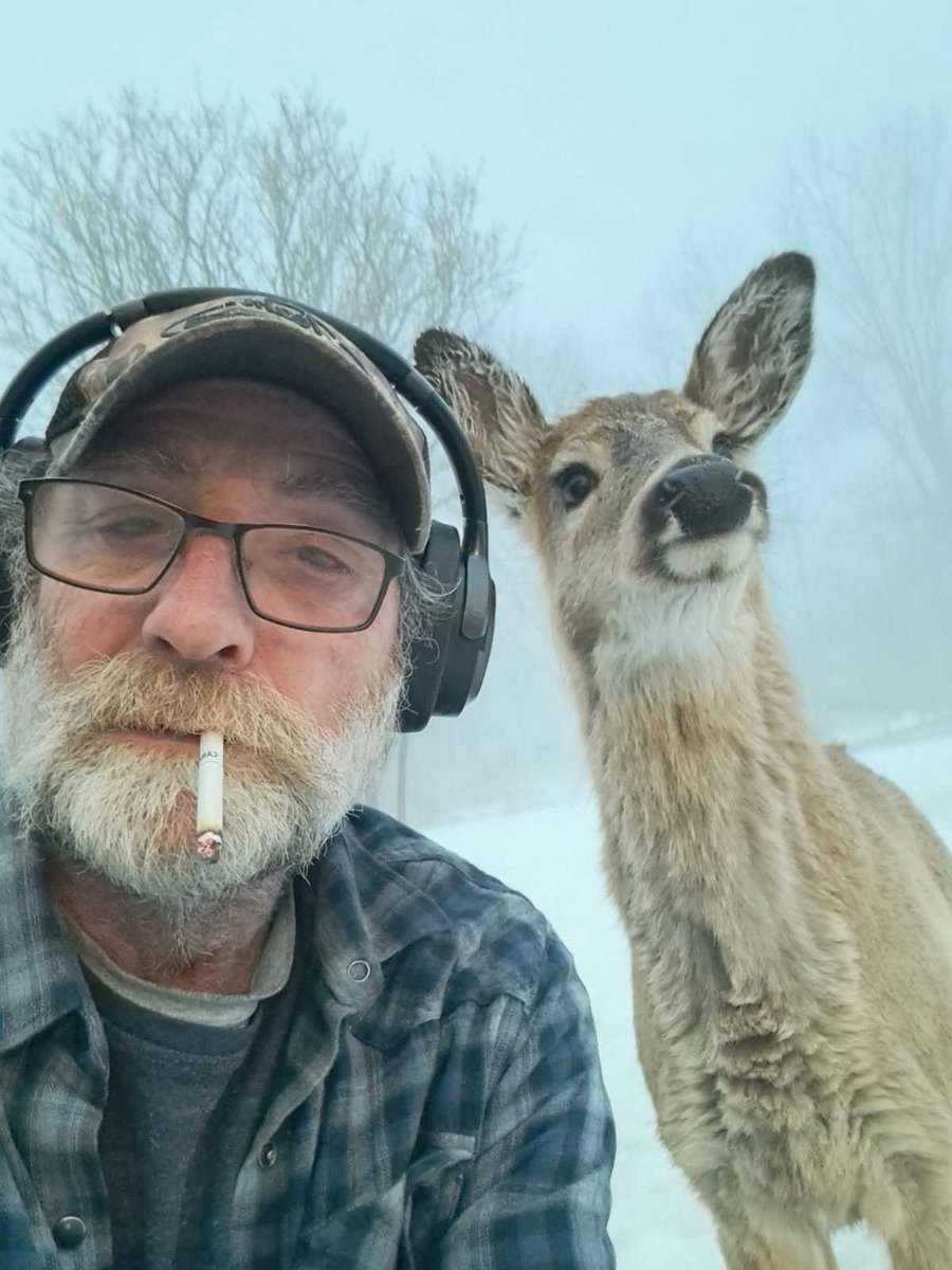 OODMag's tweet photo. This friendly young deer has been a regular guest for Dave Lott of Little Britain, who believes it became orphaned last fall. He doesn't feed it, but it's been hanging around his property anyway, coming up to his guests. https://t.co/2OHRLxzQHu