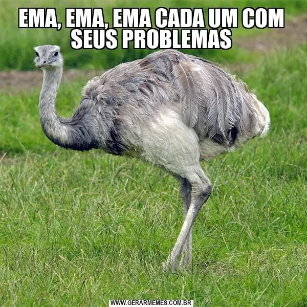 Brodneck tweet media