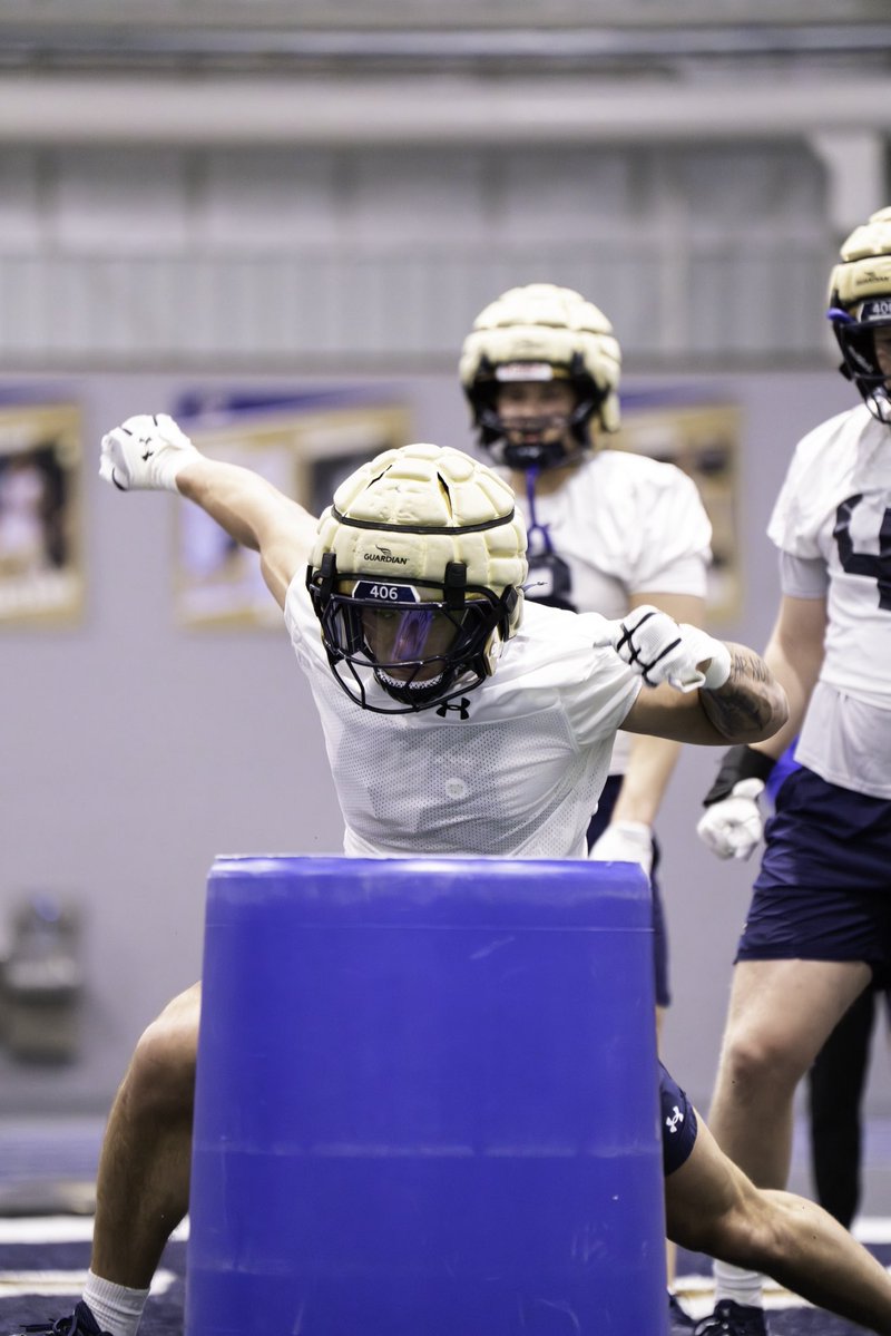 Montana State Football tweet media