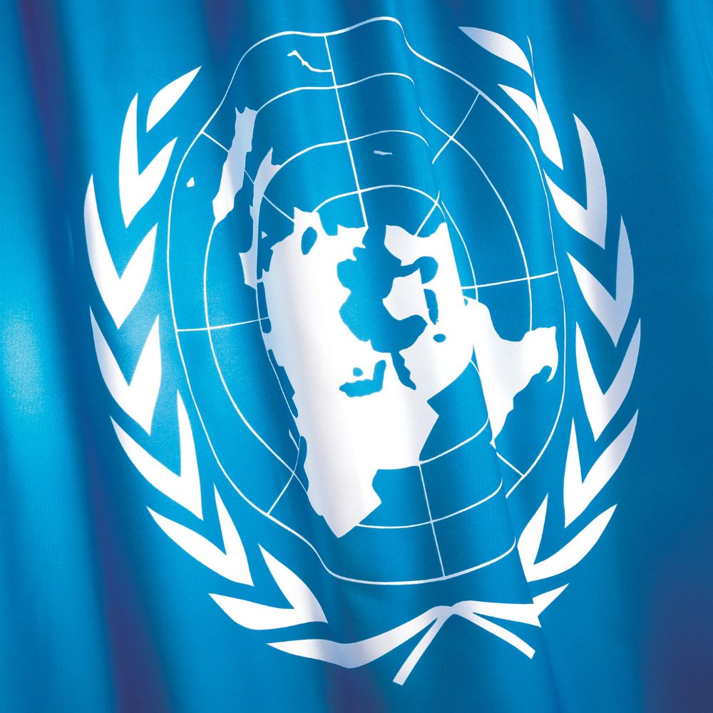 Bruno Brezenski tweet media