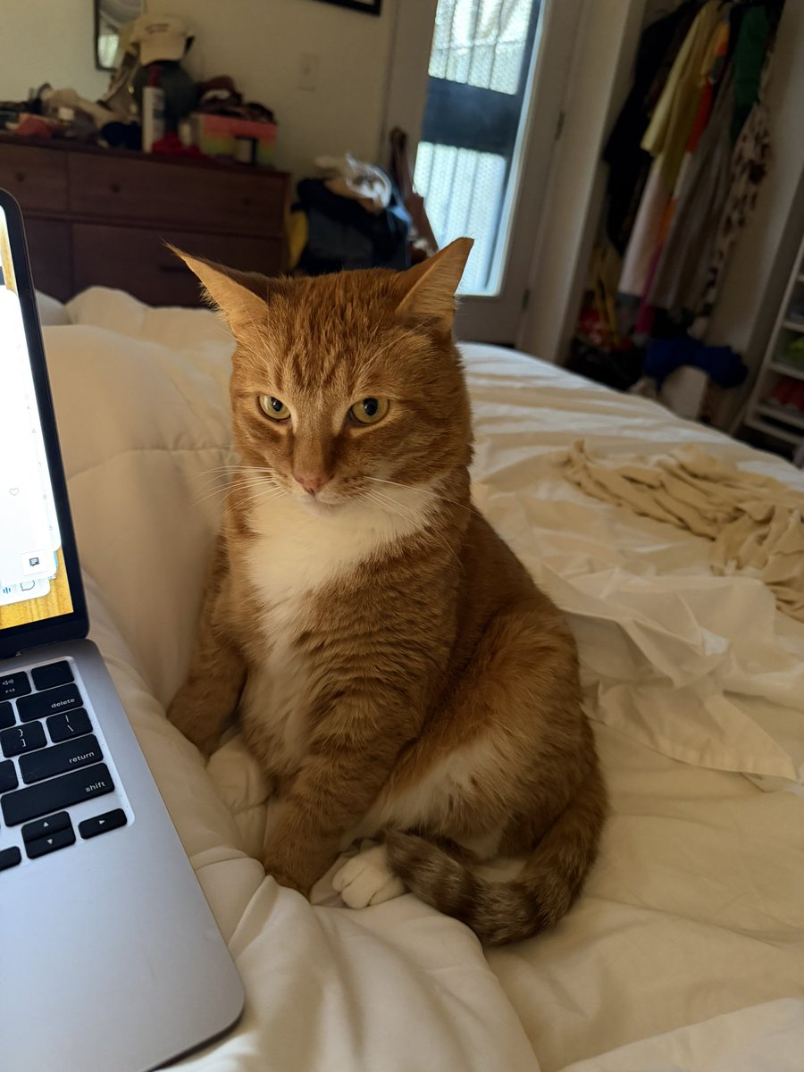 Ashley Reese tweet media