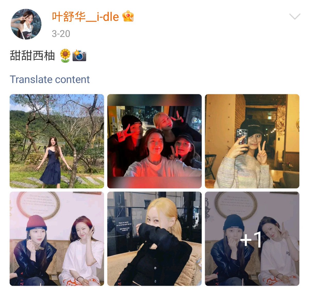 mel 🐢🍷🏁🪞⚔️ tweet media