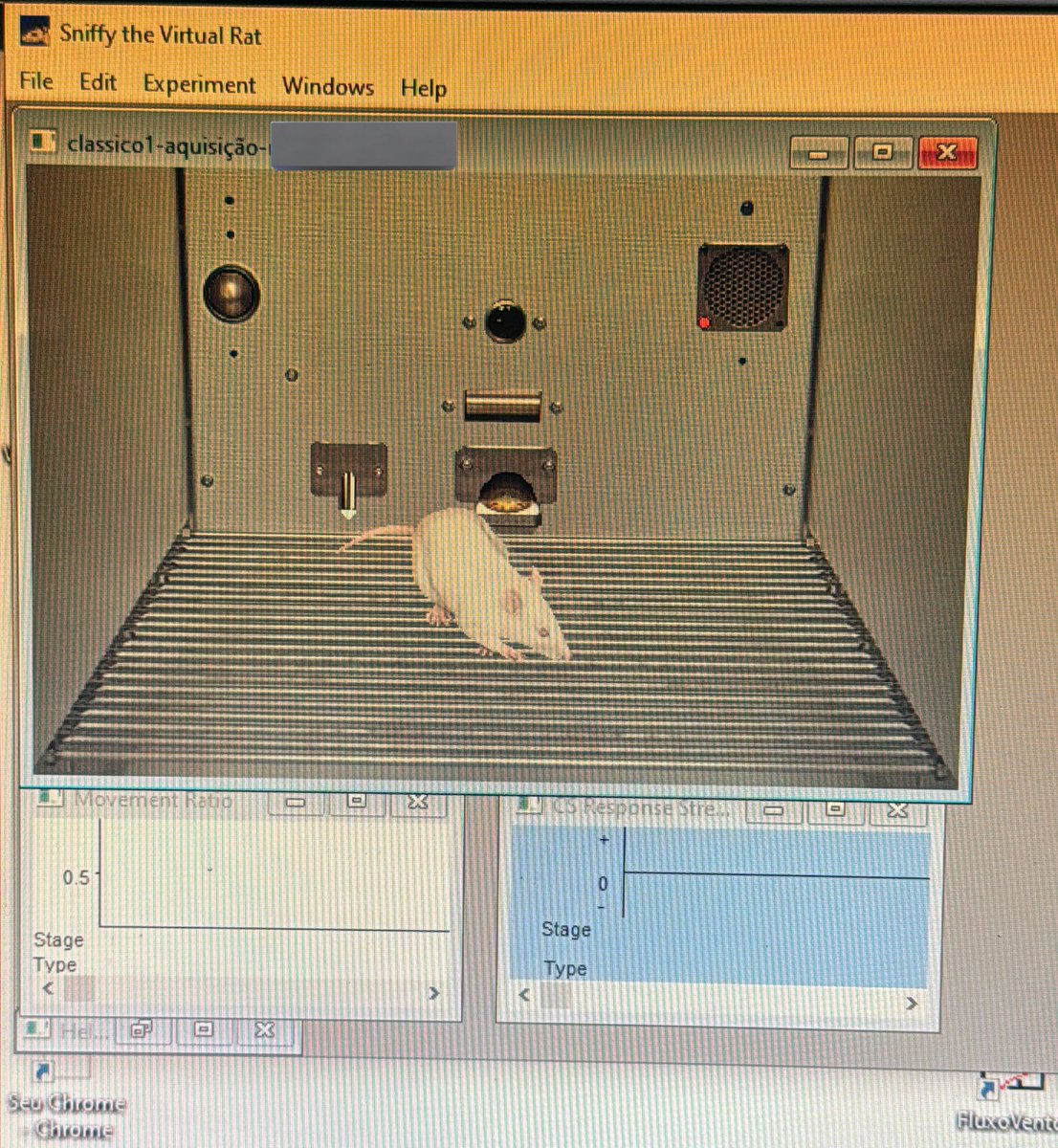 marie cigarro da silva tweet media