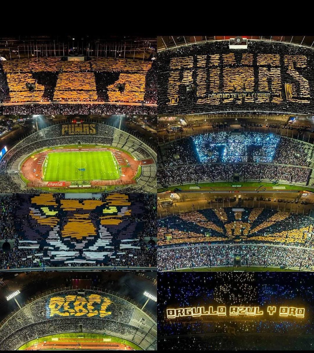 Alexa González. ✨ tweet media