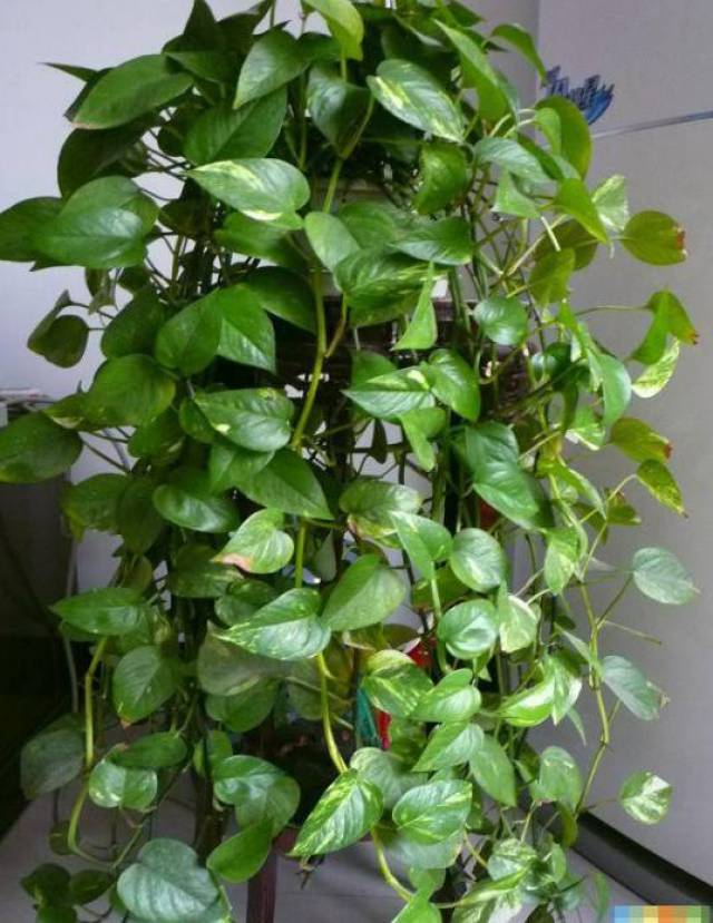 Nikodem Hryc tweet media