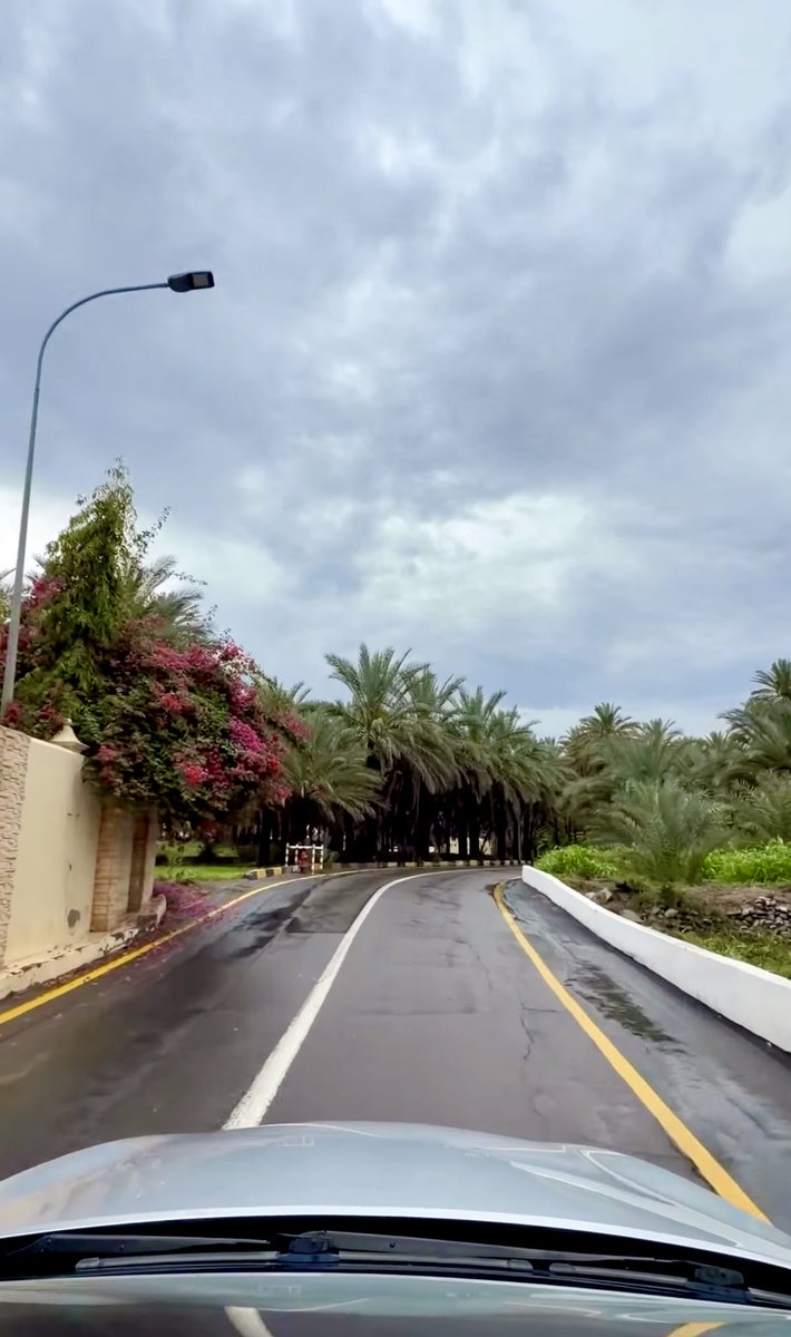 هدى ۜسـعيدۧ tweet media