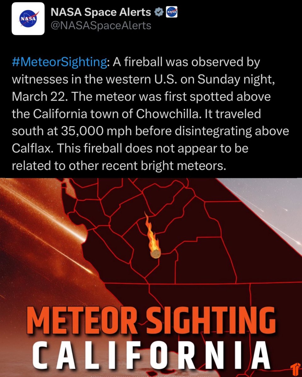 Thizzler On The Roof tweet media