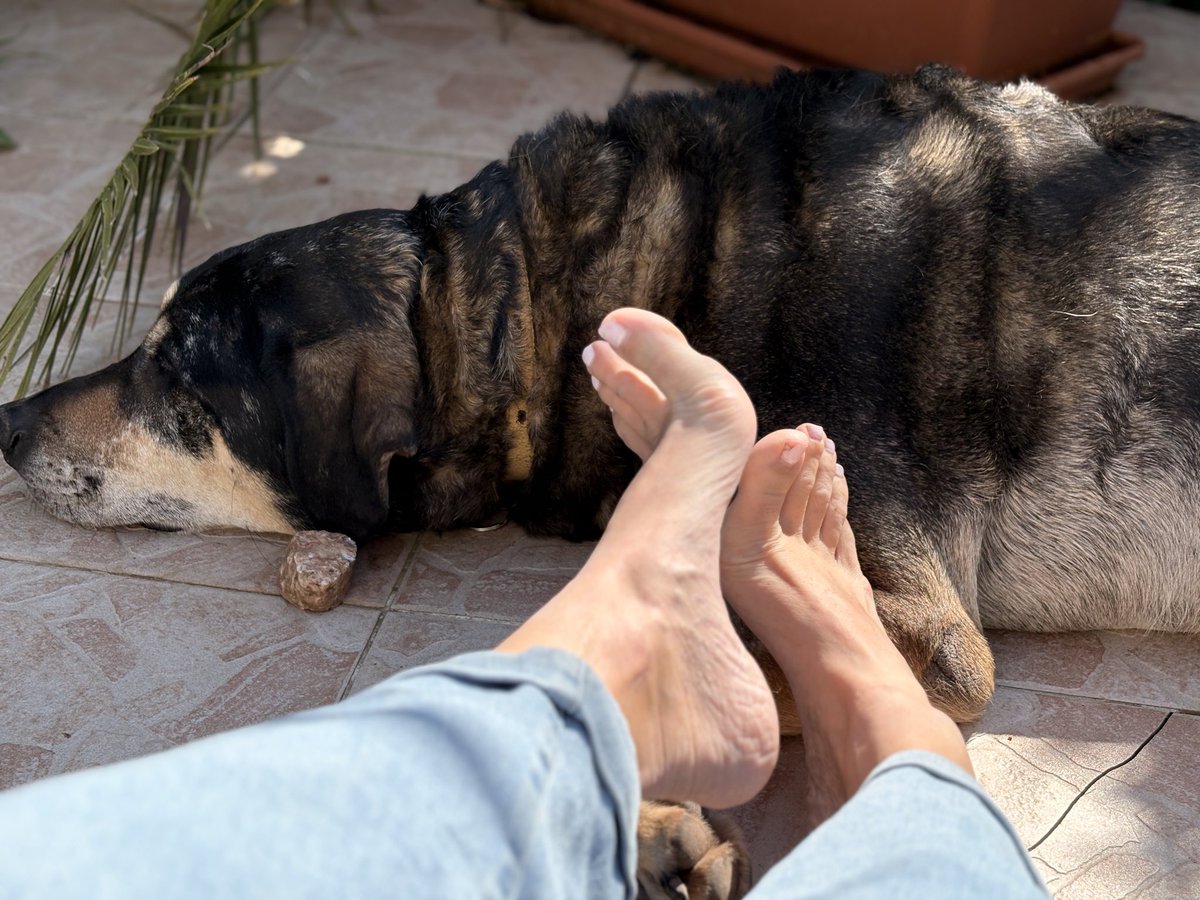 les pieds de Prudence tweet media