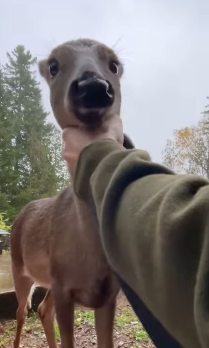 Simon🏳️‍⚧️| da pitt tweet media