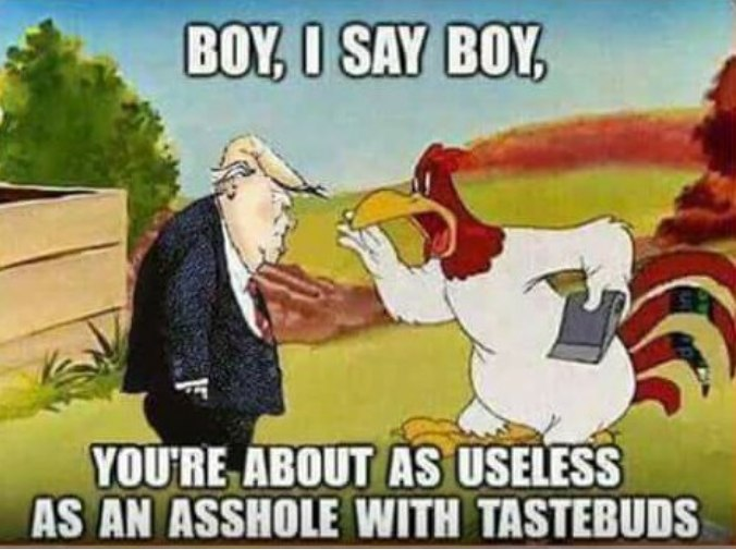 elseagee 🟧 🌊 🌊 🌊🎨 🎸 tweet media