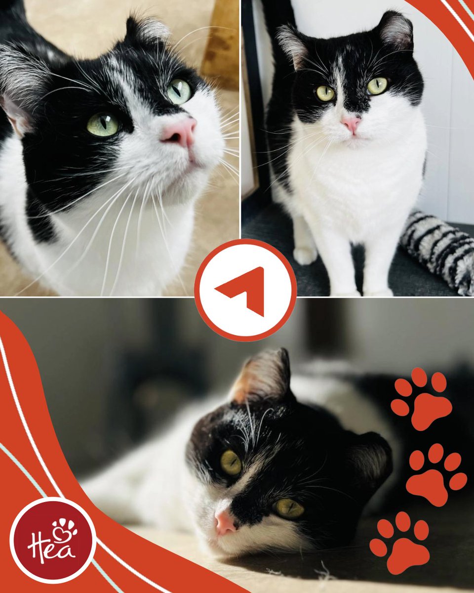 Ascendium Education Group tweet media