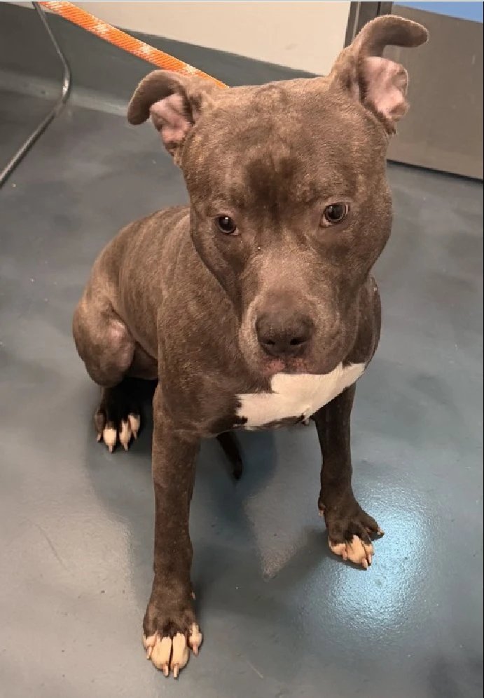 Not the Same tweet media