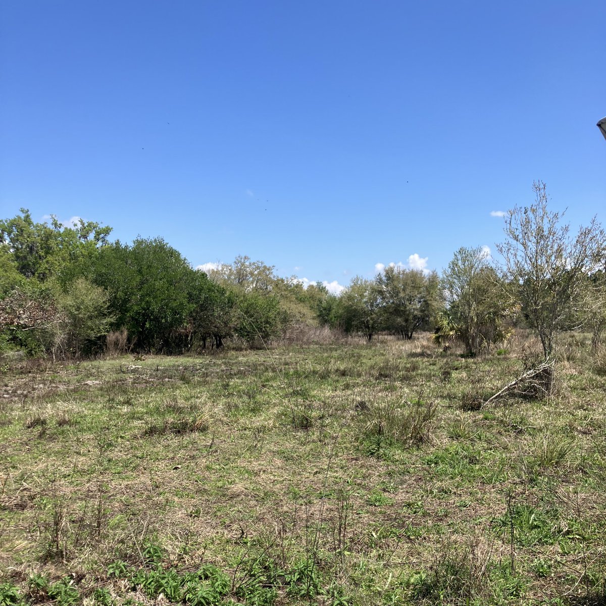 J.GrayDigital tweet media