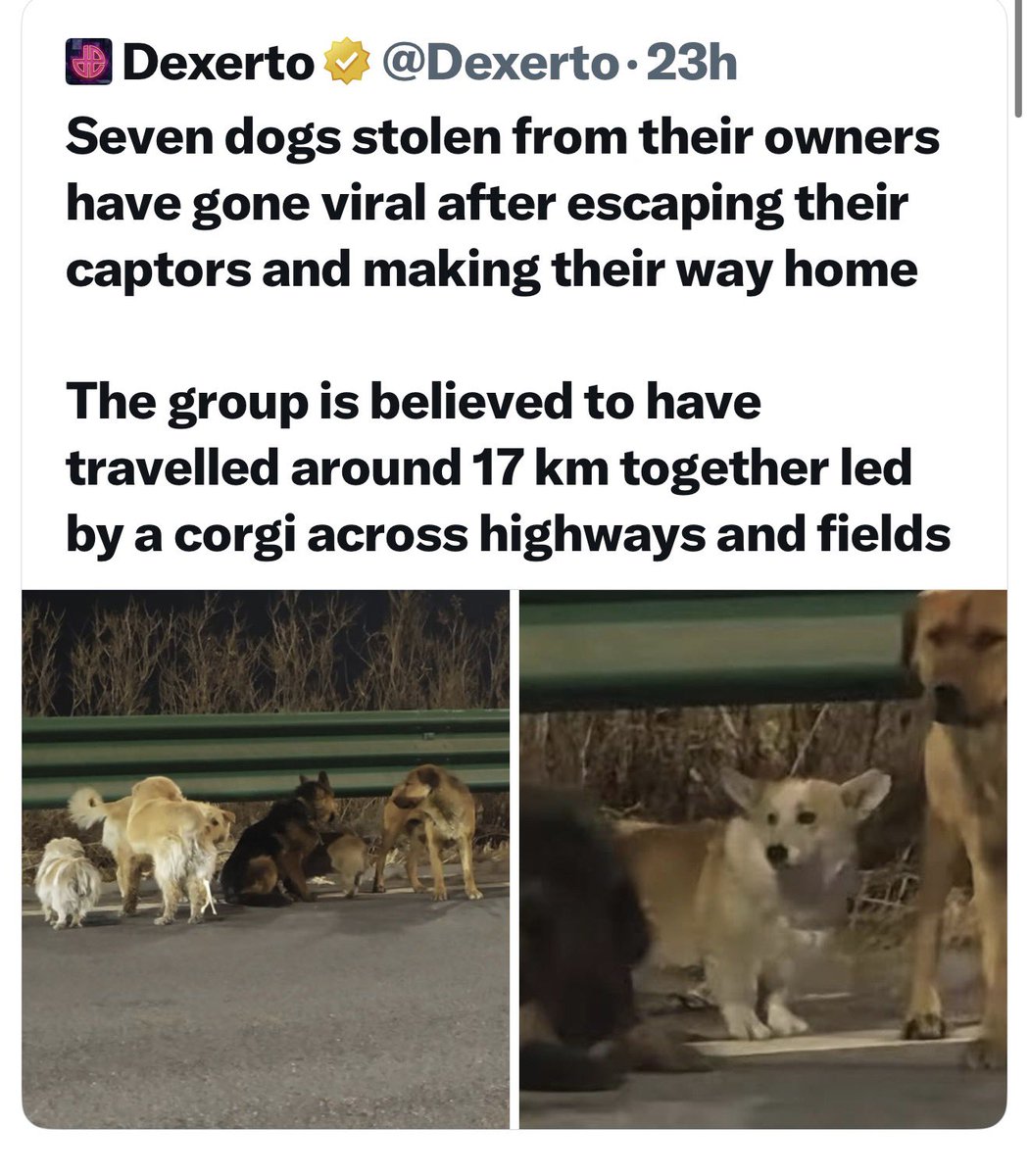 Art by Heim (Johnny) tweet media